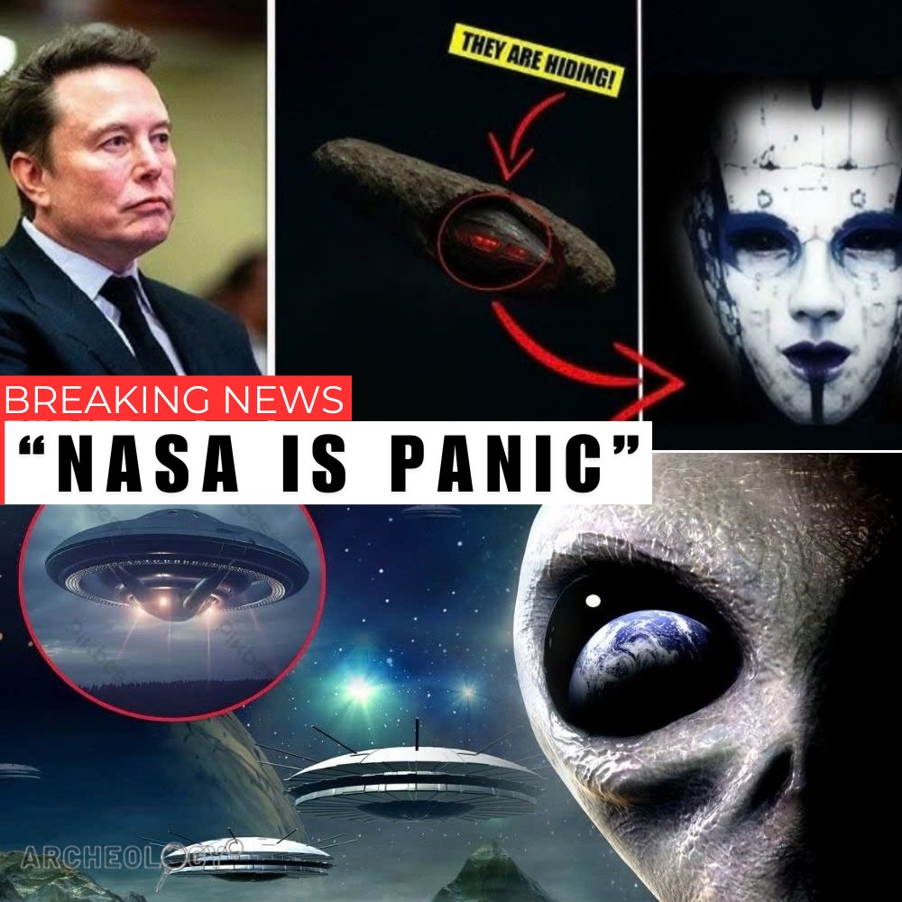 Elon Musk’s Secret Space-Born Child Sparks Global Speculation — Is This the Start of a Cosmic Dynasty? - News