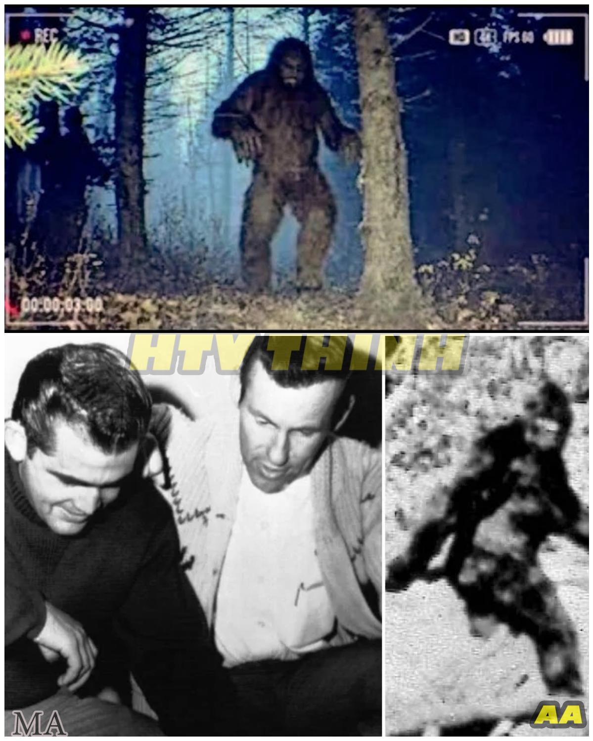  “1 MINUTE AGO: Shocking 11-Foot Bigfoot Caught on Camera — The Jaw-Dropping Footage Everyone Is Talking About ” - News