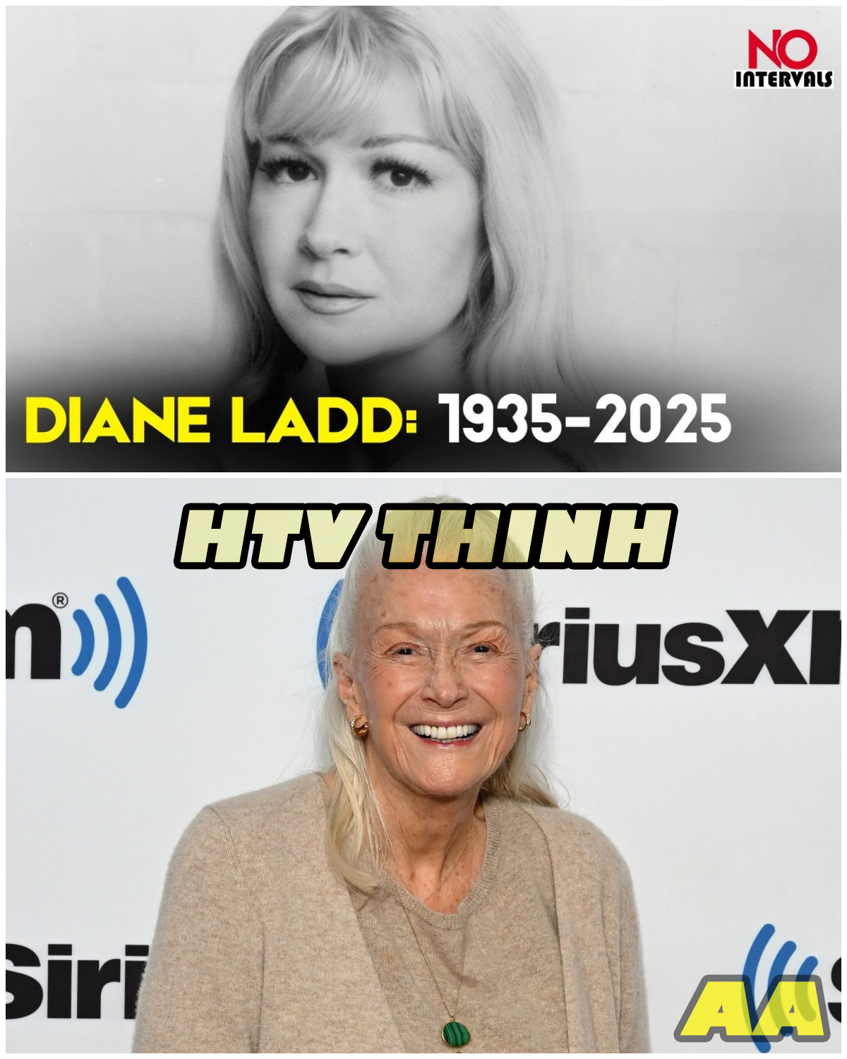  Diane Ladd Has Left the Building: What Her Passing Means for Hollywood!  - HTT - News