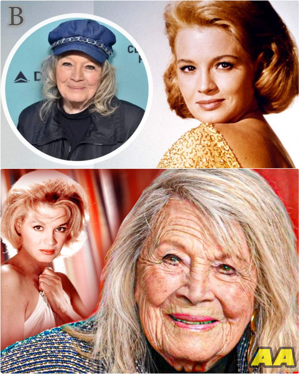 Hollywood’s Golden Girl Fades Away: The Sad Life of Angie Dickinson at 94 - News