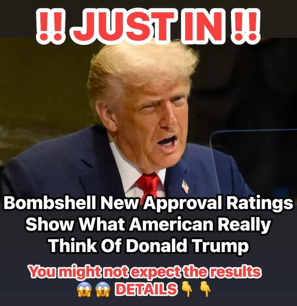 Shocking New Presidential Polls Reveal Where Americans Stand on Donald Trump