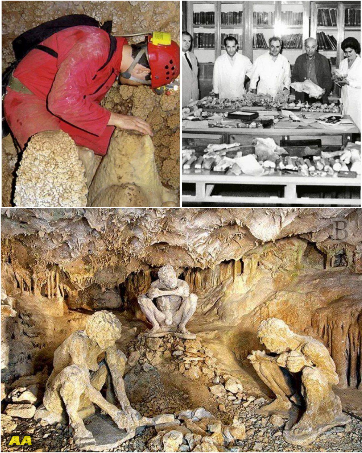 The 700,000-Year-Old Mystery: The Skull That Could Rewrite Human History - News