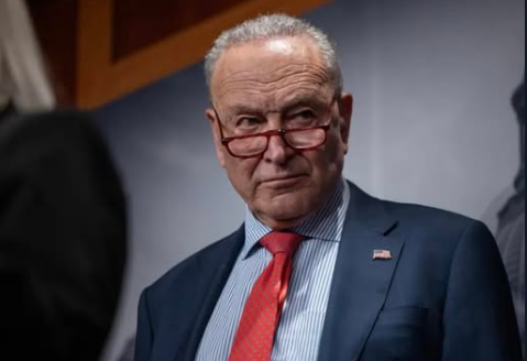 BREAKING / CHUCK SCHUMER CALLS FOR “FORCEFUL UPRISING” AGAINST TRUMP ADMINISTRATION