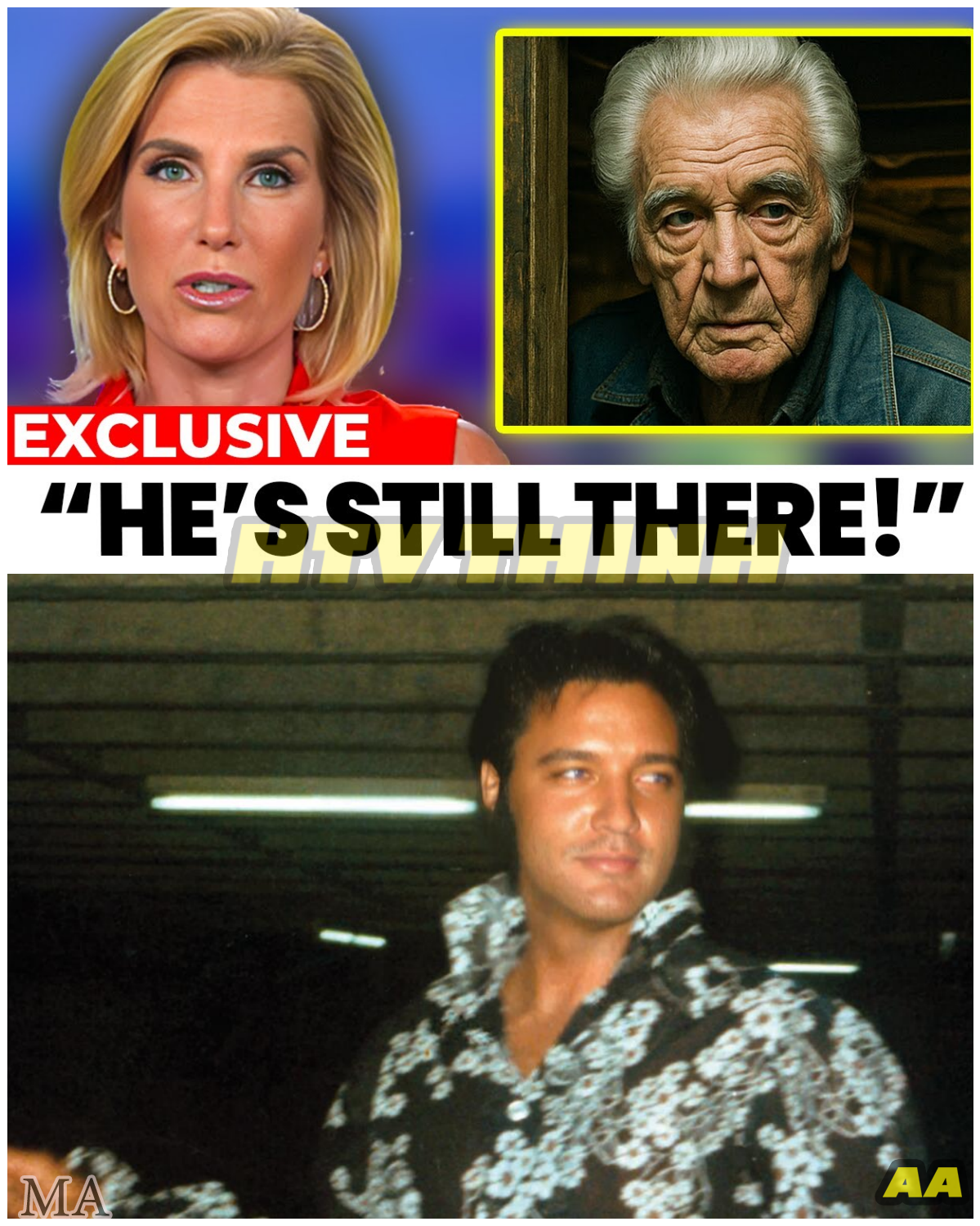  ELVIS SHOCKER: Presley’s Secret Shed Opened After 48 Years — Inside Lies A Discovery That Will Leave Fans Gasping And Question Everything They Knew About The King ️ - News