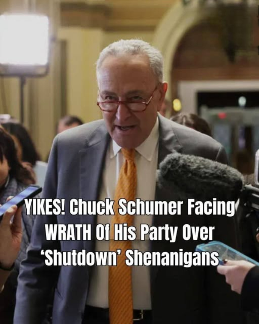 25.We Knew They’d Come Around: Dem Senators Fear ‘Schumer Shutdown’ Fallout