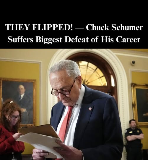 Lefty Host Admits Dems Losing Messaging Battle On Schumer Shutdown