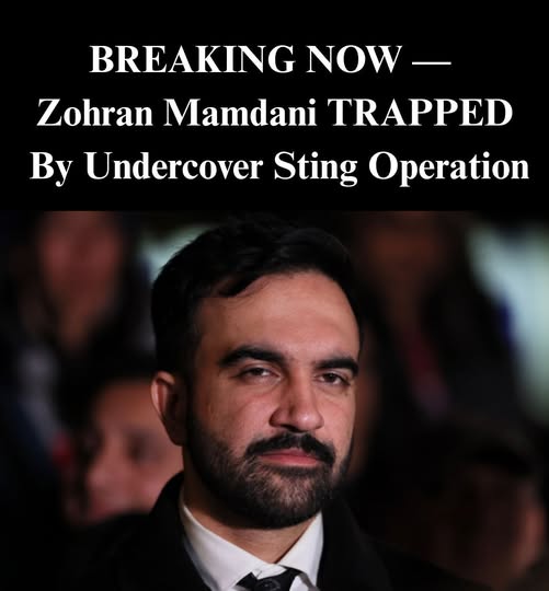 14.Non-Profit’s Plot To Instruct Non-Citizens How to Vote for Mamdani Uncovered