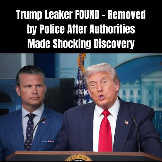 Hegseth Fires Top Military Intel Officer Over Iran Leak