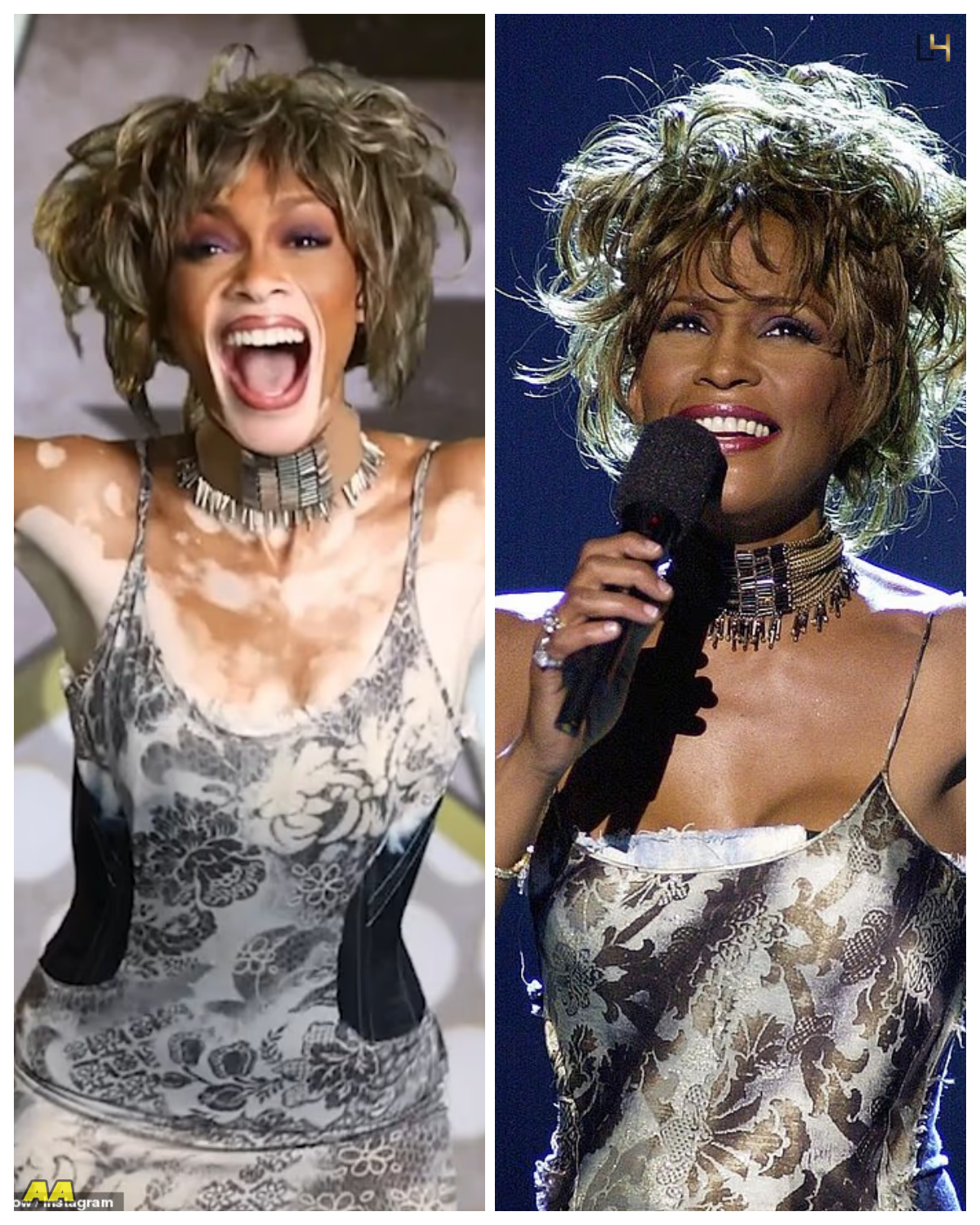 Whitney Houston fans slam Winnie Harlow for 'turning her pain into a Halloween costume' - News