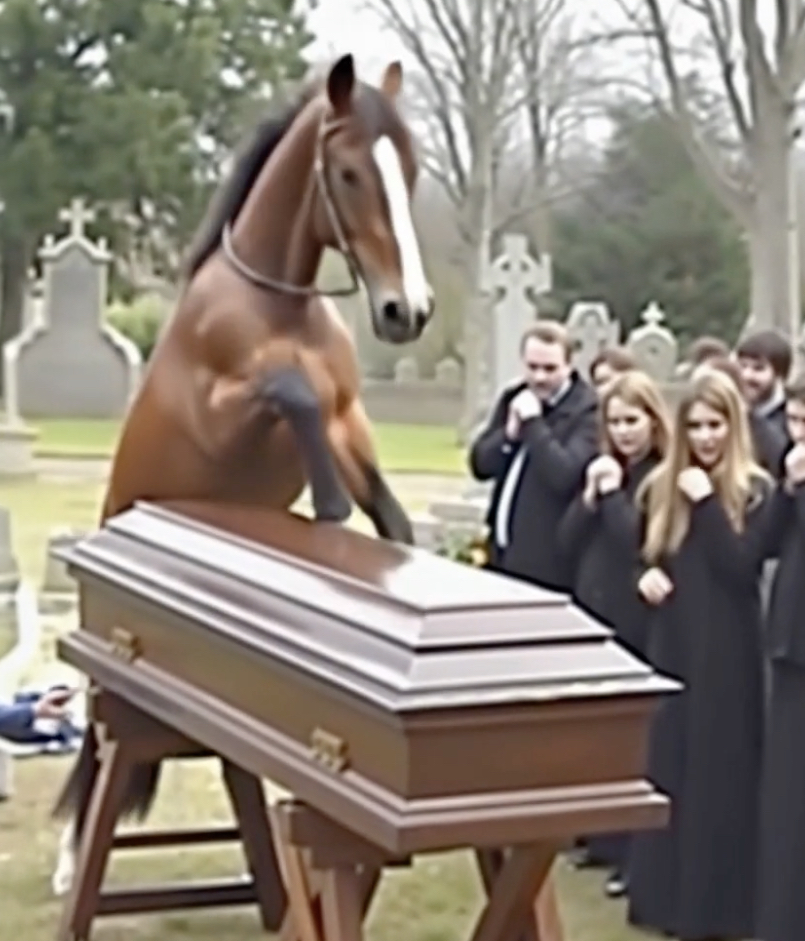 On the day of my husband’s funeral, his horse broke the lid of the coffin.