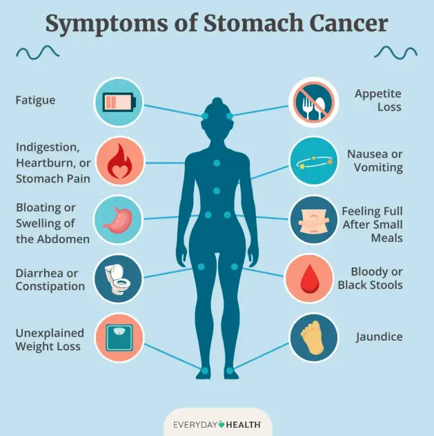 Stomach Cancer Symptoms: From Subtle Signals to Serious Red Flags