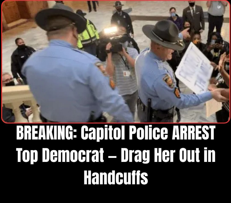 t.Georgia Democratic Official Arrested, Charged With Felony Theft