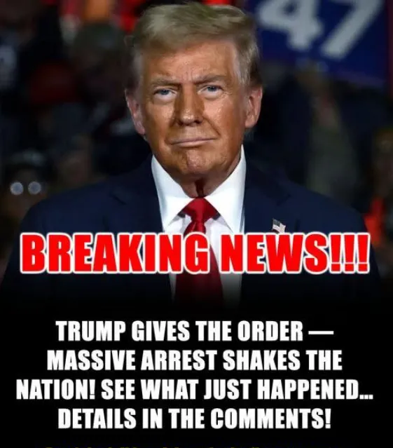 Trump Admin Sending Hundreds of Marines to Florida to Help ICE