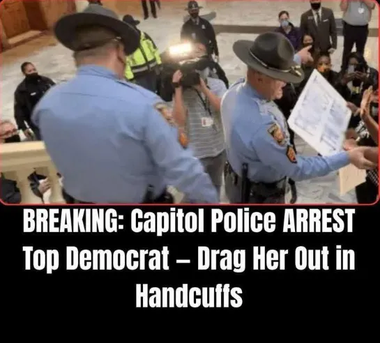 Georgia Democratic Official Arrested, Charged With Felony Theft