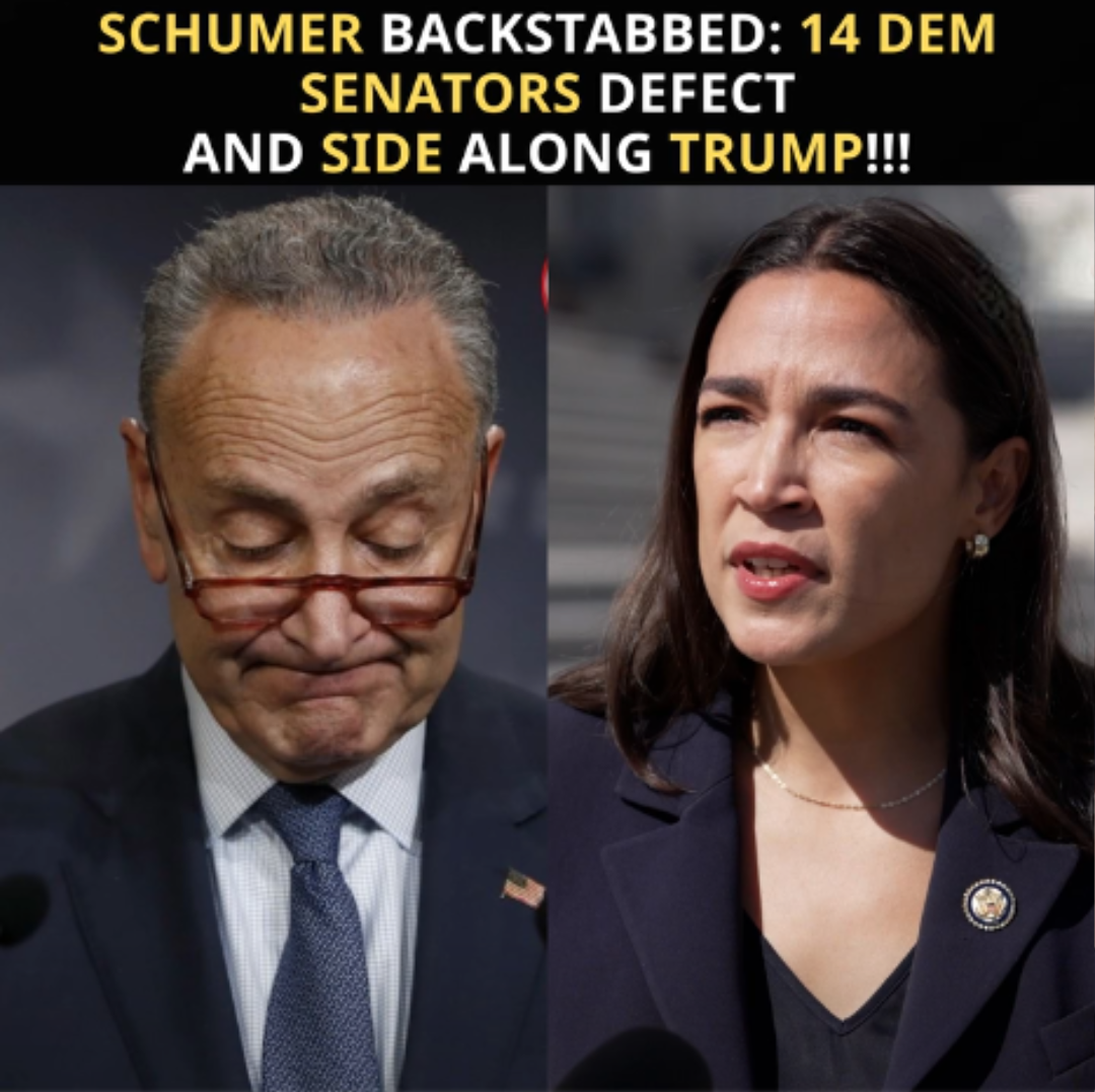 7.Chuck Schumer Faces Defections and Rising Popularity of AOC as Democrats Seek Change