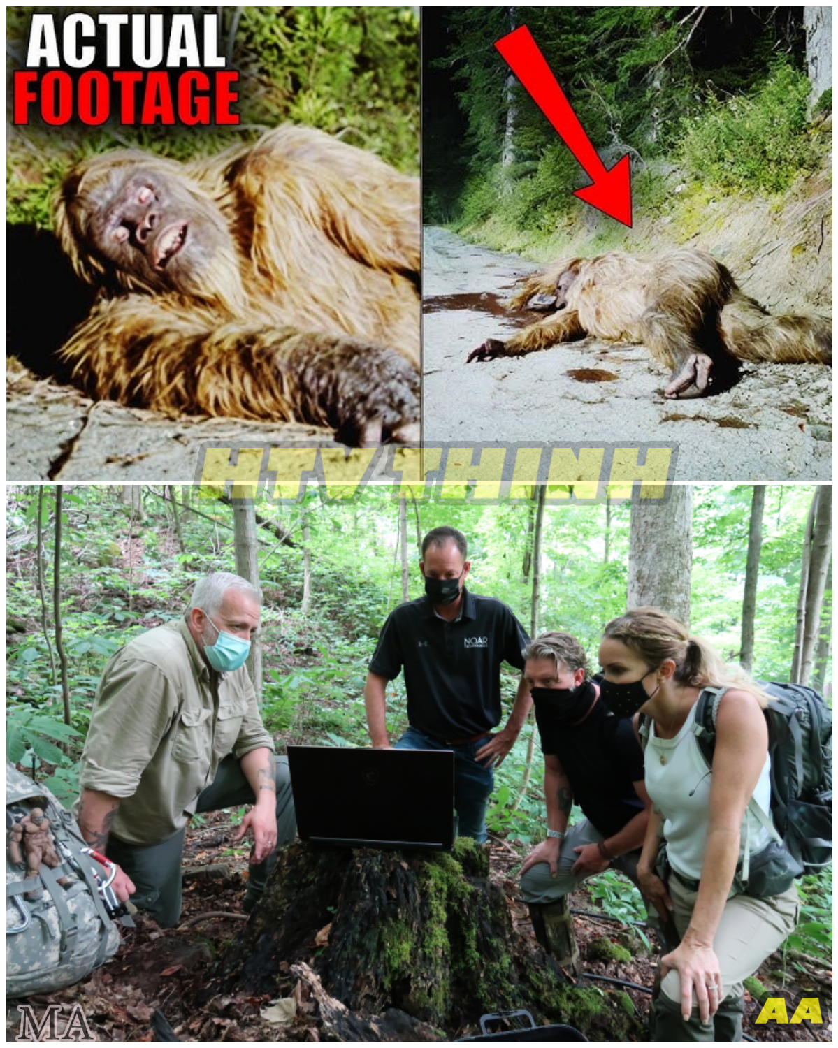  “Expedition Bigfoot Hunters FINALLY Uncover the Hidden Lair of the Elusive Beast – Shocking Secrets Inside Will Blow Your Mind!”  - News