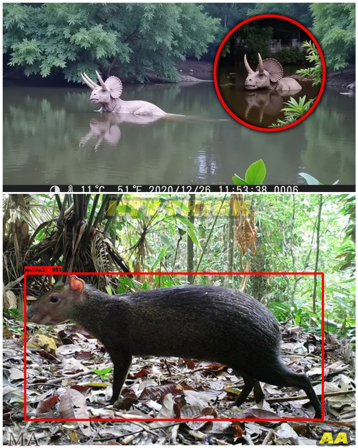 “MIND-BLOWING! Scientists Stunned as 100,000-Year-Extinct Creature Spotted Alive in the Amazon — Footage They Tried to Bury ” - News