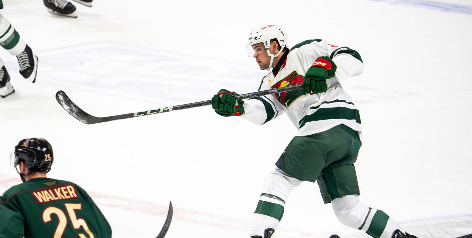 Wild Recall Defenseman David Spacek From Iowa