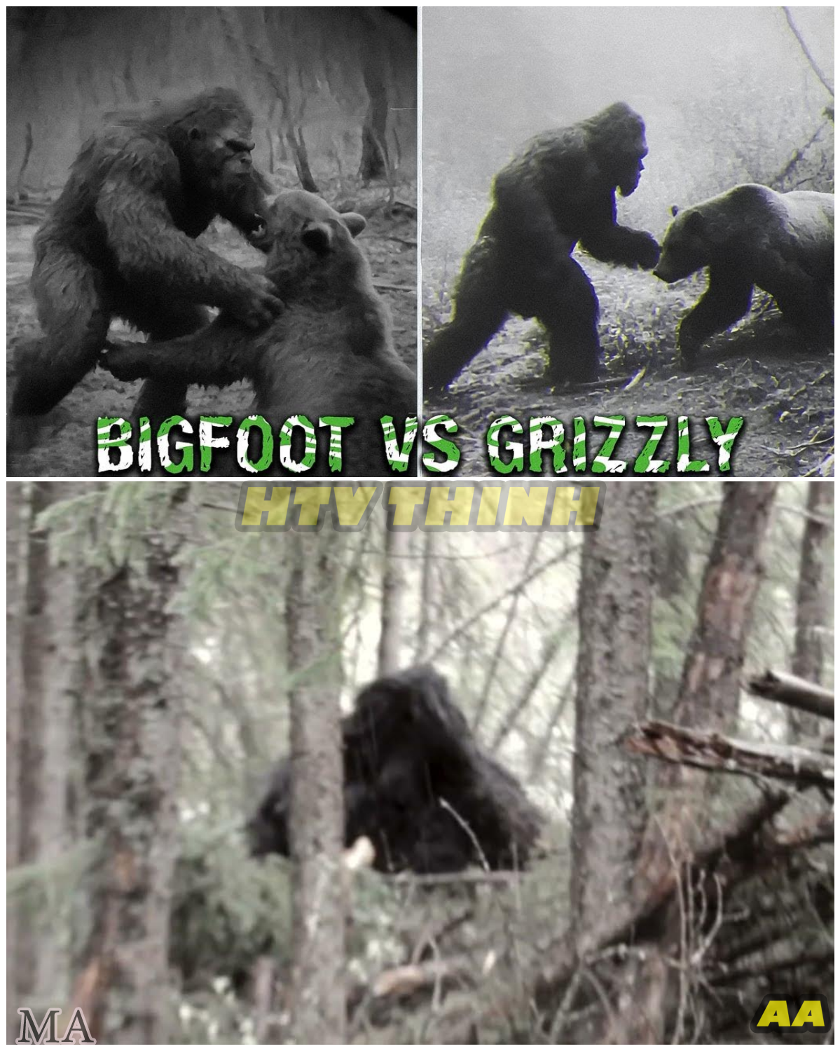  "‘NO ONE BELIEVED IT UNTIL NOW!’ Hunter Captures RARE Trail Cam Footage of BIGFOOT Battling a Bear — The SHOCKING Footage That Could Change Everything We Know About Cryptids " - News