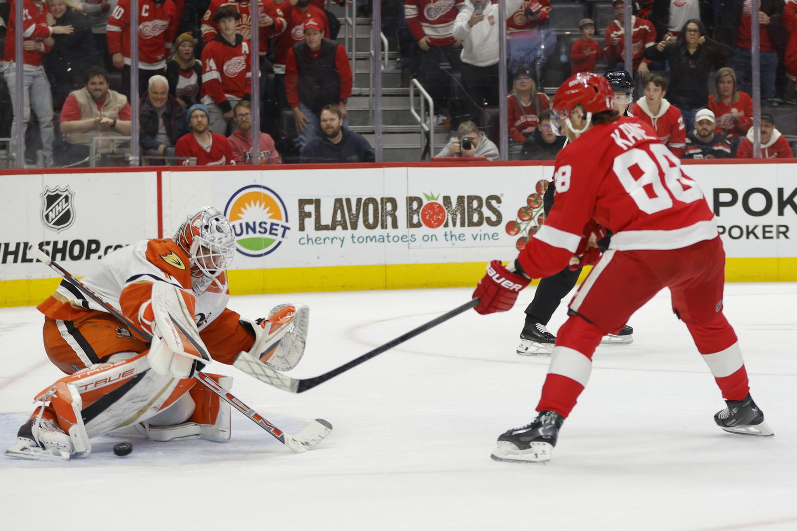 Red Wings Aim To Snap Three-Game Skid Against Red Hot Ducks