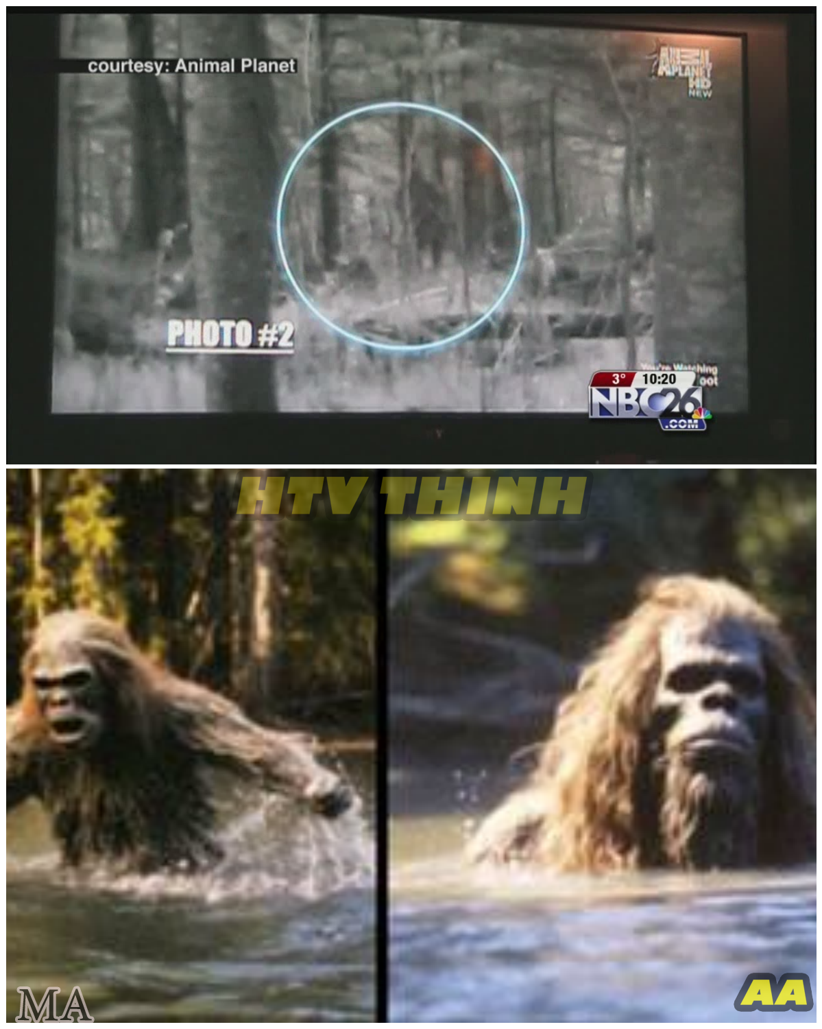  TERRIFYING BIGFOOT ENCOUNTERS CAUGHT ON CAMERA — EYEWITNESSES SPEAK OF UNIMAGINABLE HORROR  - News