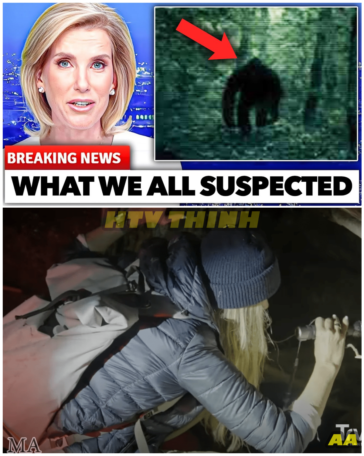  1 MINUTE AGO: EXPEDITION BIGFOOT SHUT DOWN — MYSTERY FINALLY SOLVED, AND WHAT THE CREW DISCOVERED LEFT EVERYONE TERRIFIED  - News