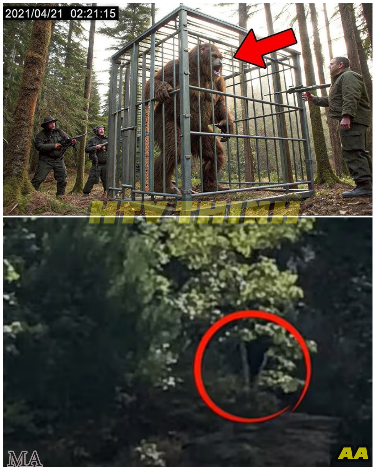  “The Most TERRIFYING Bigfoot Encounters Ever Caught on Camera — Chilling Footage, Unexplained Screams, and Evidence Too Real to Ignore ” - News