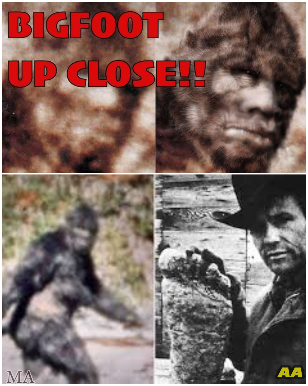  “BIGFOOT EXPOSED!” – Why The Patterson-Gimlin Film Could NEVER Be A Fake Suit  - News