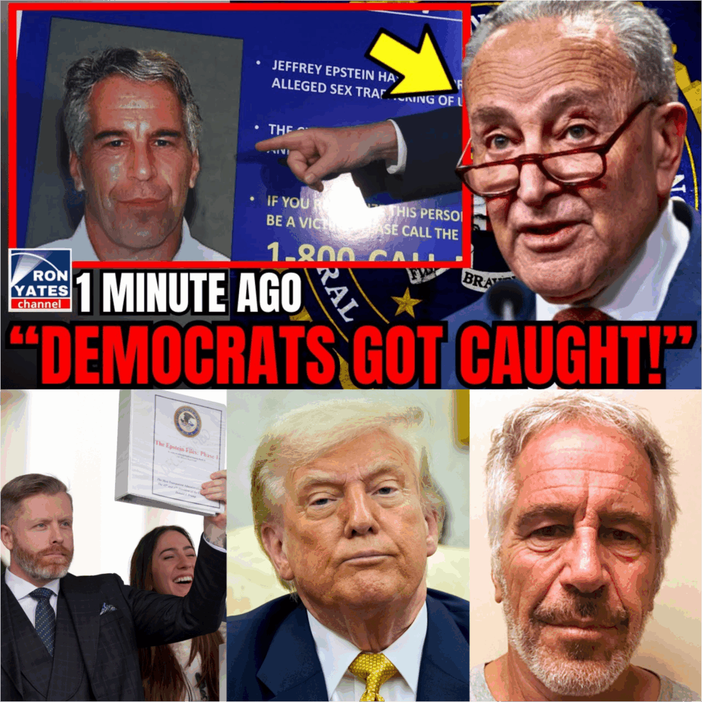 C39.DEMOCRATS IN FULL MELTDOWN: Epstein Hoax Collapses as $15 Million Lie is Dragged into the Spotlight