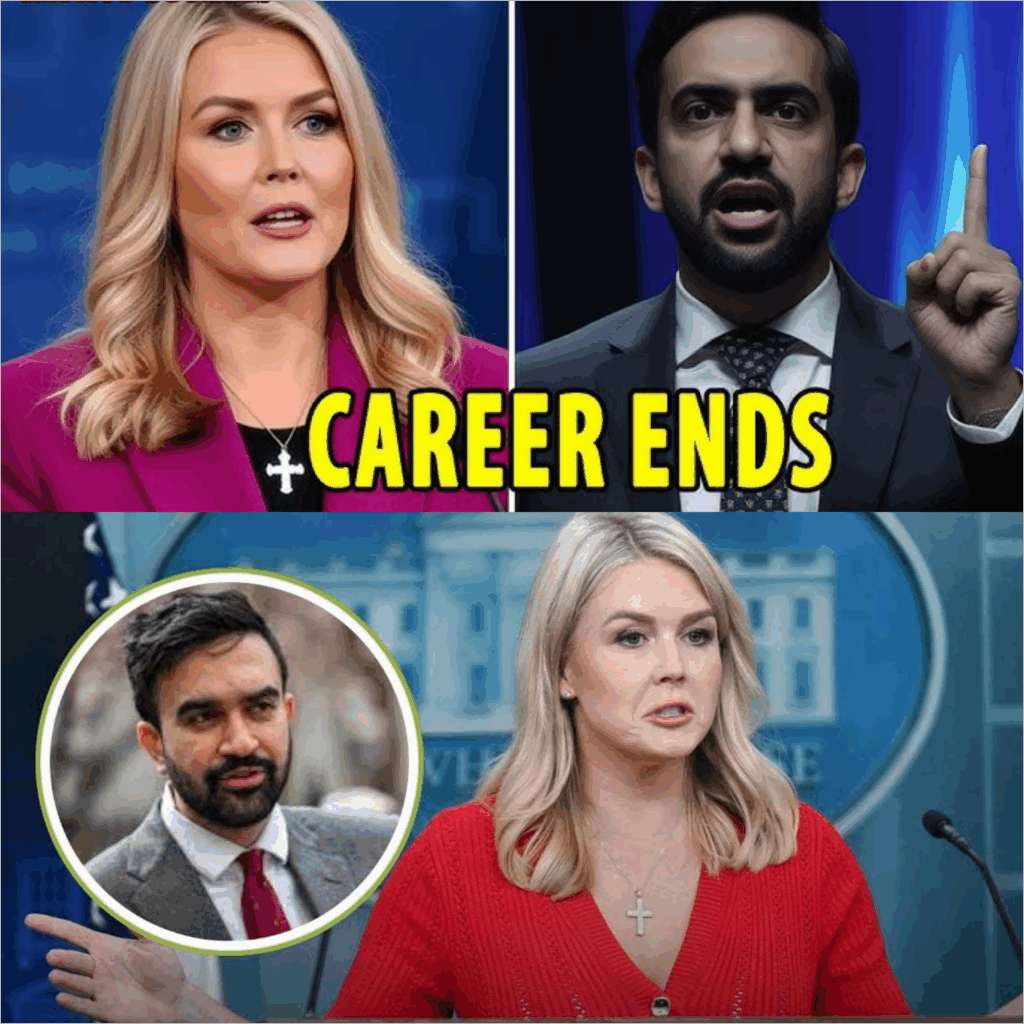 Zohran Mamdani MOCKS Karoline Leavitt on Live TV — Then She Destroys His Career With One Sentence