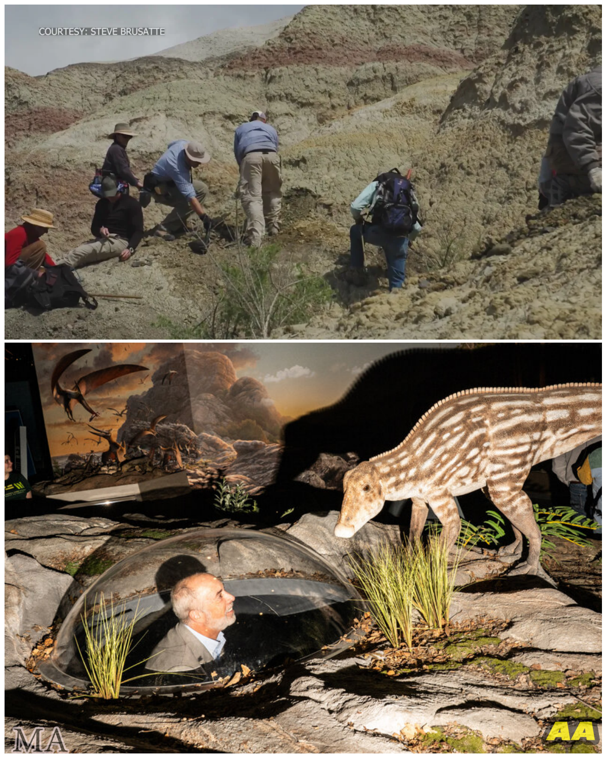  “DINOSAURS’ FINAL DAYS UNEARTHED!” – Shocking New Mexico Fossil Discovery Links Prehistoric Creatures Directly To The Earth’s Most Catastrophic Extinction  - News