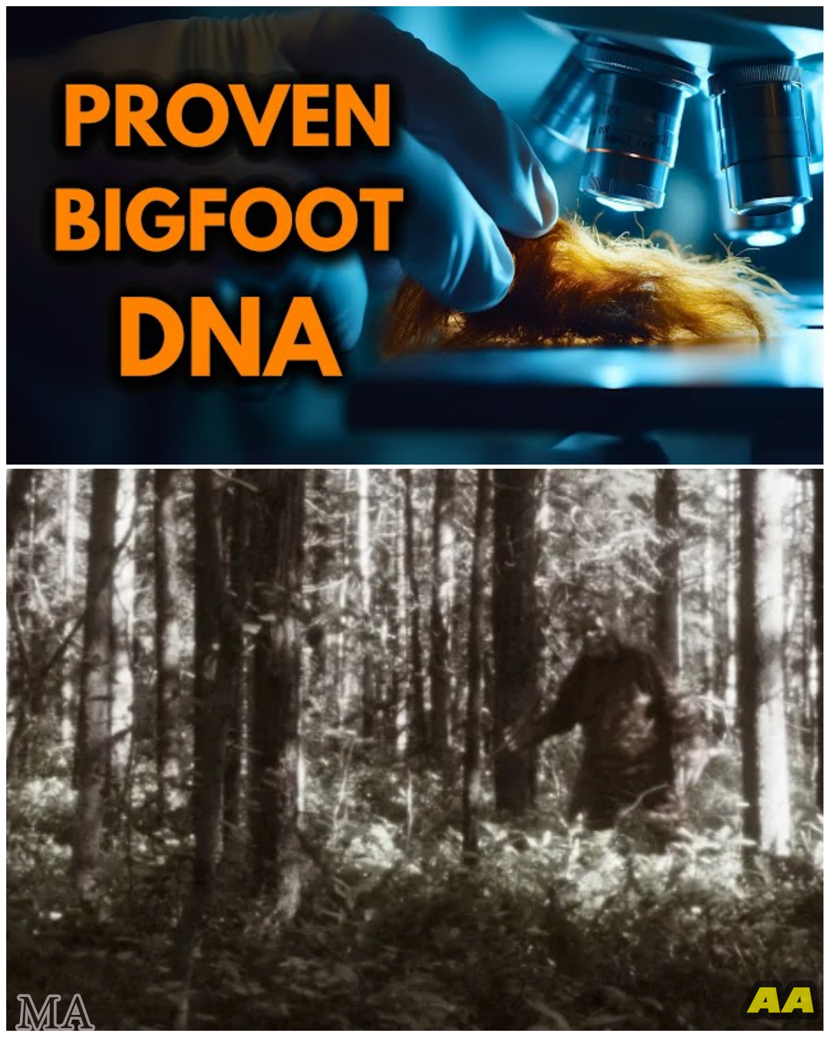  “BIGFOOT FINALLY PROVEN?” – Undeniable DNA Evidence Mainstream Science Has Been Ignoring For Decades  - News
