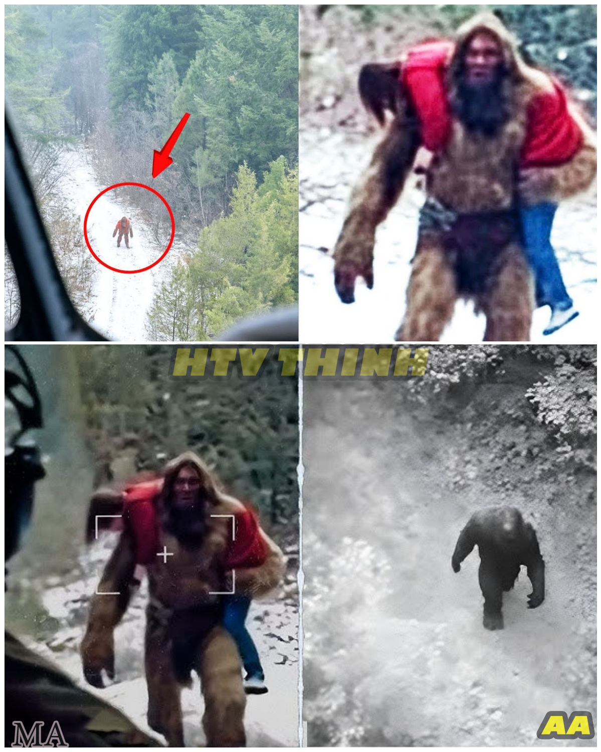  "‘YOU WON’T BELIEVE WHAT I SAW!’ Pilot Captures SASQUATCH Carrying a Dead Body From His Helicopter — The SHOCKING Footage That Could Rewrite Cryptid History " - News
