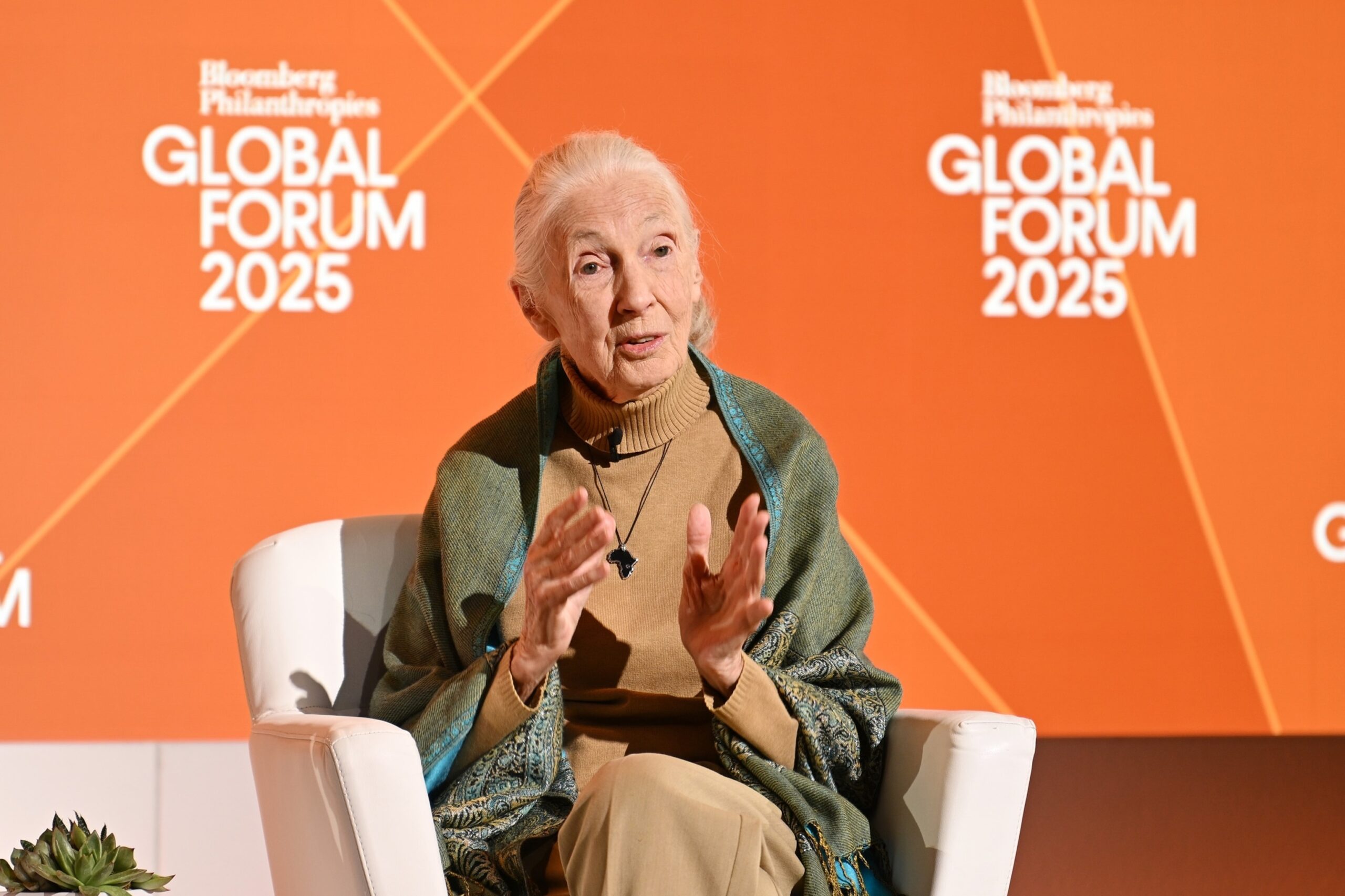 C51.She was 91 years old ND