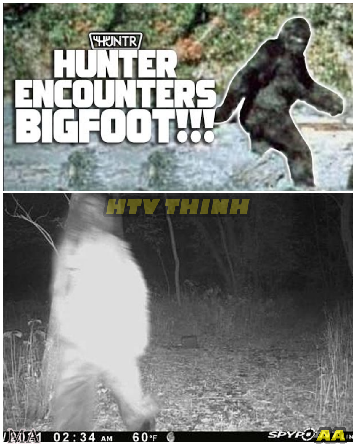 “INCREDIBLE! Rare Trail Cam Footage Captures Bigfoot in a Brutal Showdown With a Bear — Experts Left in Total Shock ” - News