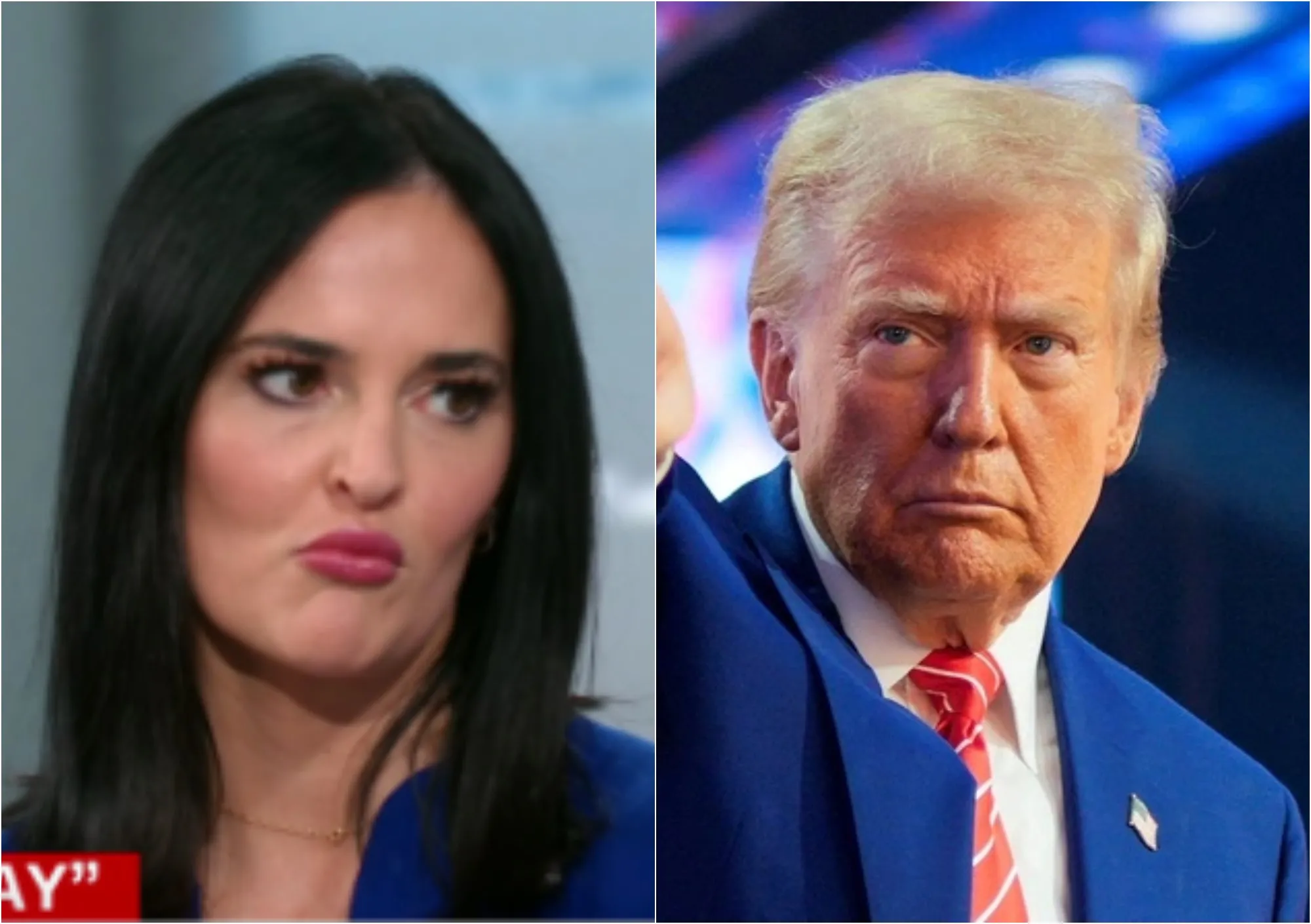 Democrat strategist Lis Smith just admitted the 34 felony charges against President Trump were part of the..