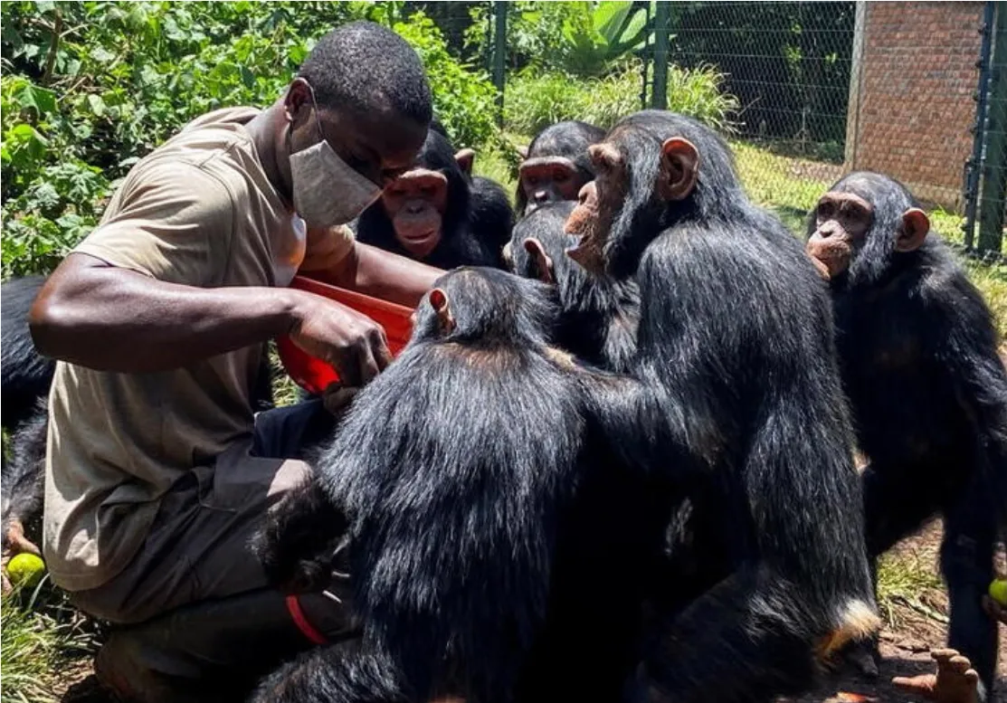THE HEARTBREAKING STORY OF COPA: A LOVE BEYOND SPECIES