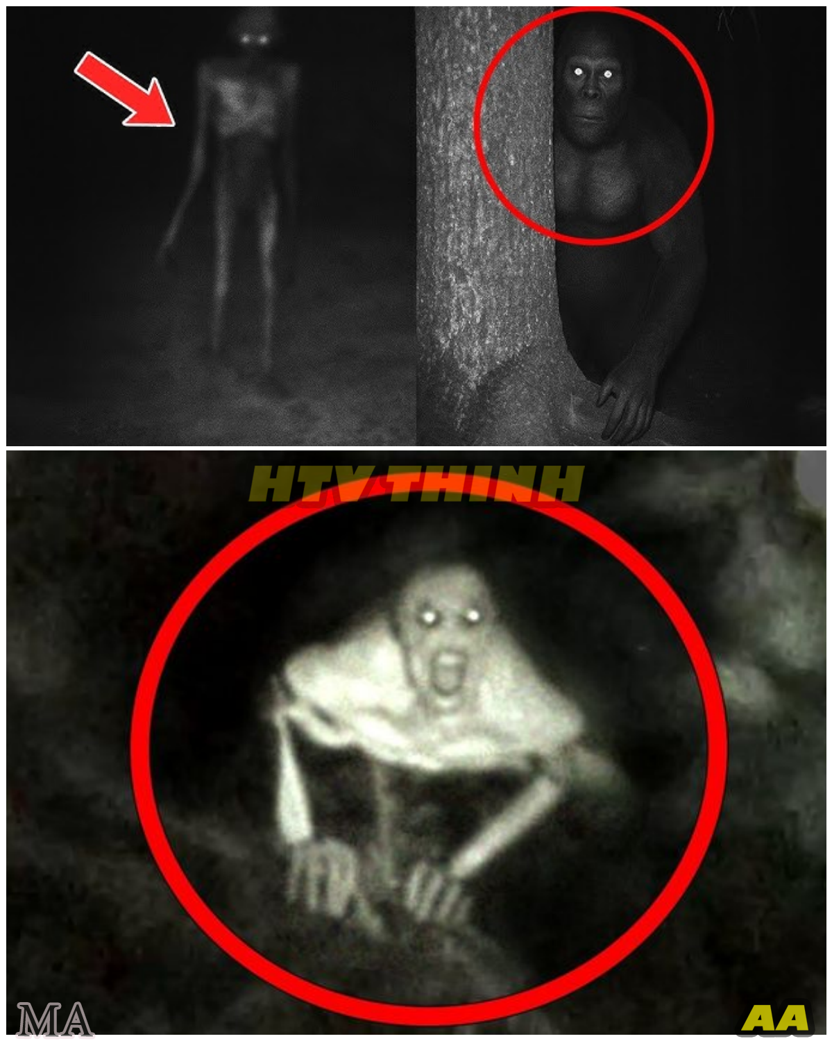 “SHOCKING! Trail Cameras Capture 2025’s Most Disturbing Creatures — Scientists Left Speechless by What They Saw ” - News