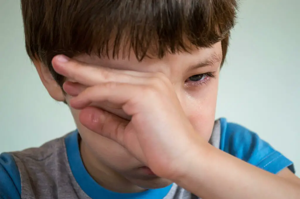 Little boy cries at gate—k9 dog senses something no one else does