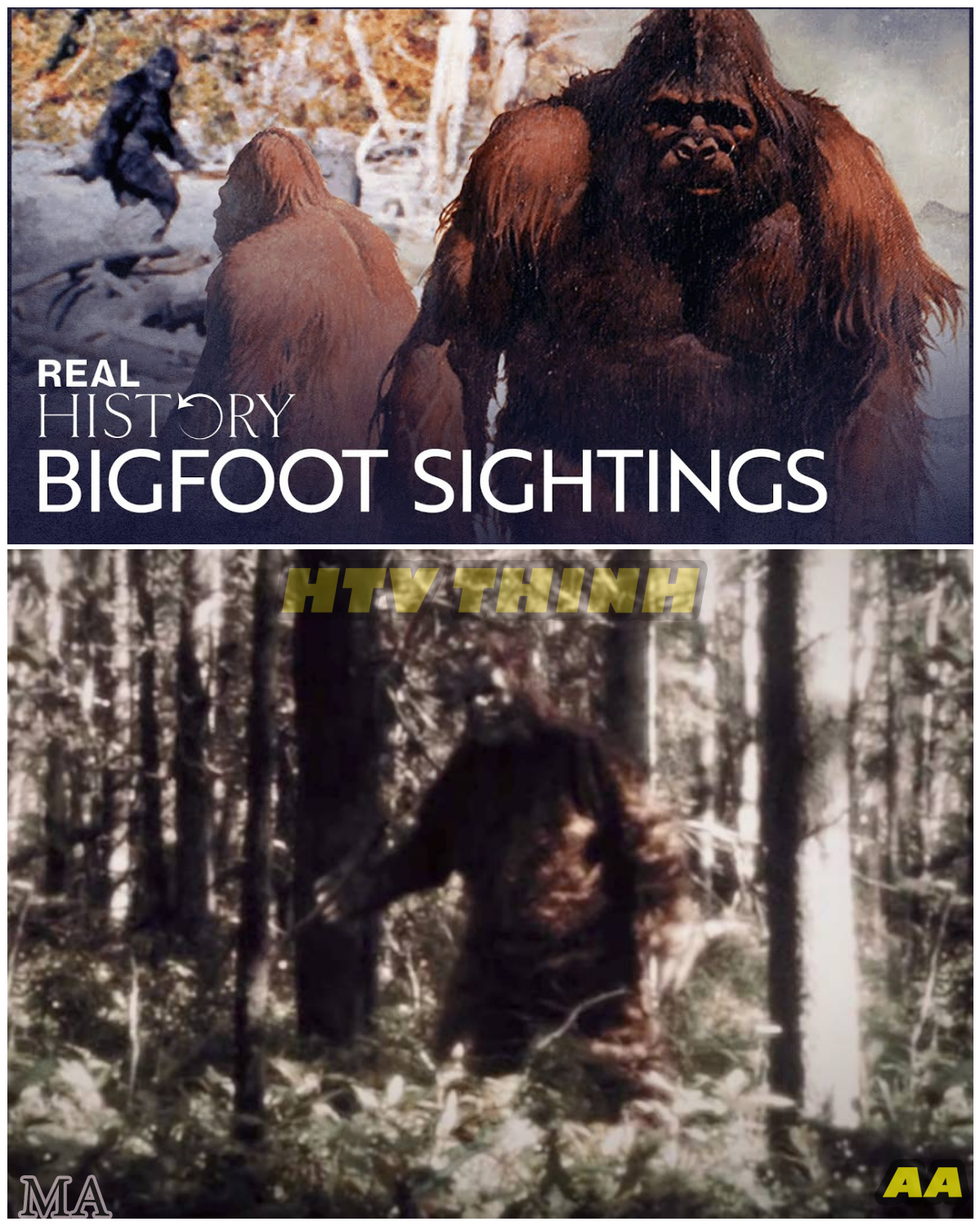 “The Haunting of Willow Creek: Terrifying Encounters, Vanished Campers, and the Sinister Truth Behind the Bigfoot Curse That Still Stalks the Forest ” - News