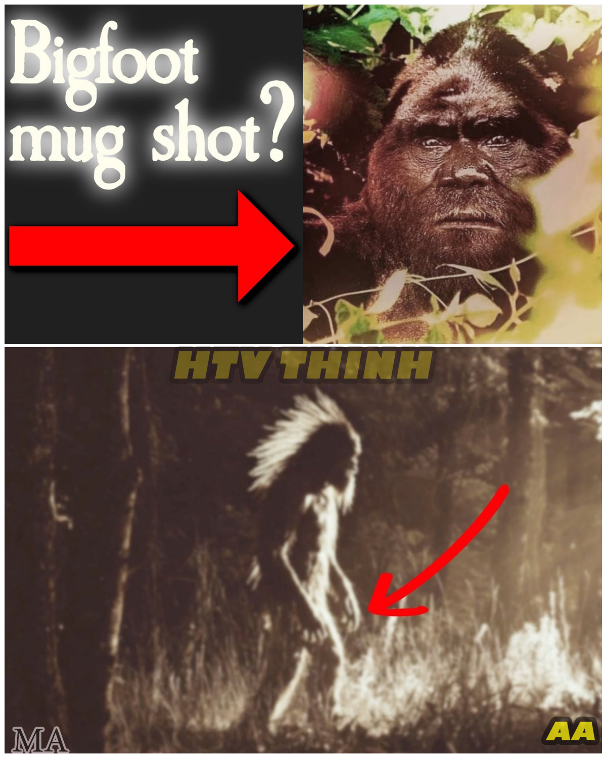  "‘THE WORLD CAN’T IGNORE THIS!’ Crystal Clear Bigfoot Footage Captured on Camera — Wildlife Experts Left Absolutely STUNNED " - News