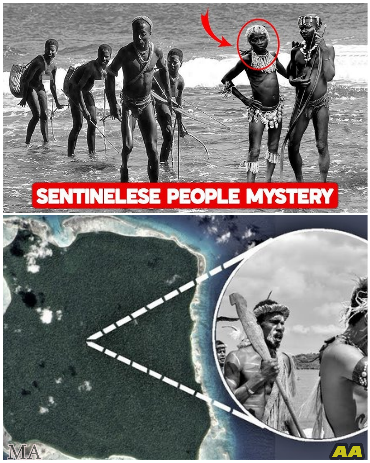  New DNA Evidence From the Mysterious Sentinelese Tribe Uncovers a Chilling Secret Hidden for Thousands of Years  - News