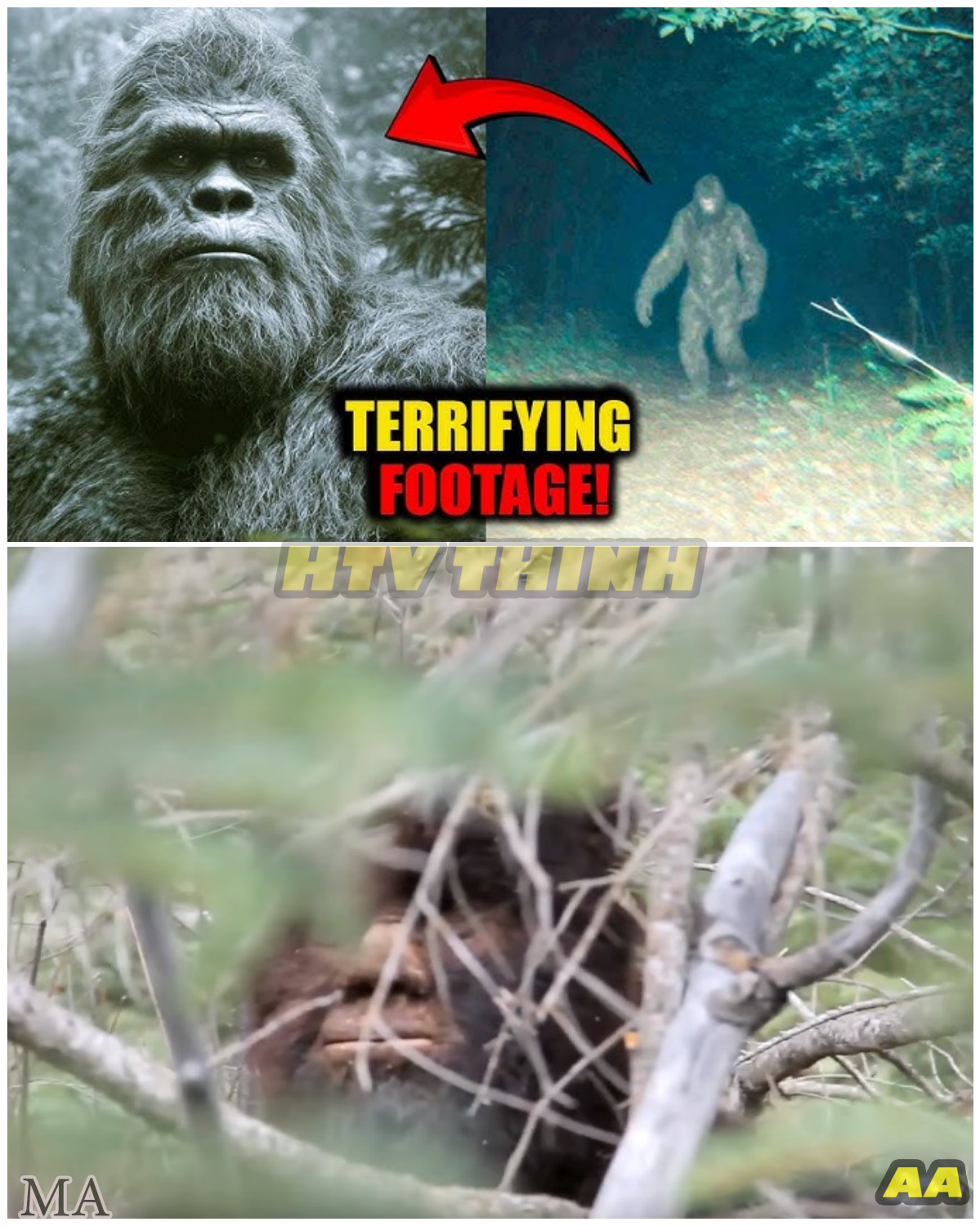  “BREAKING: Incredible NEW Bigfoot Footage Shocks the World — Experts Left Speechless as the Legendary Creature Finally Caught in Unbelievable Detail ” - News