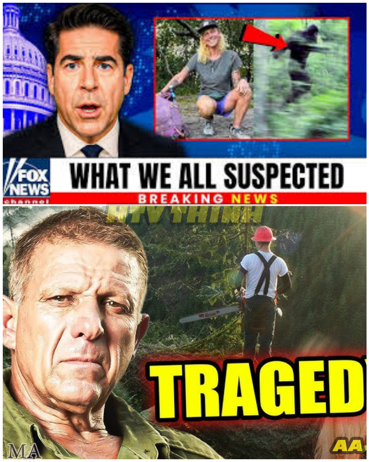  “1 Minute Ago: Ax Men Star Shelby Stanga Drops a Bombshell Fans Never Expected — The Shocking Truth Behind the Scenes ⚒️” - News