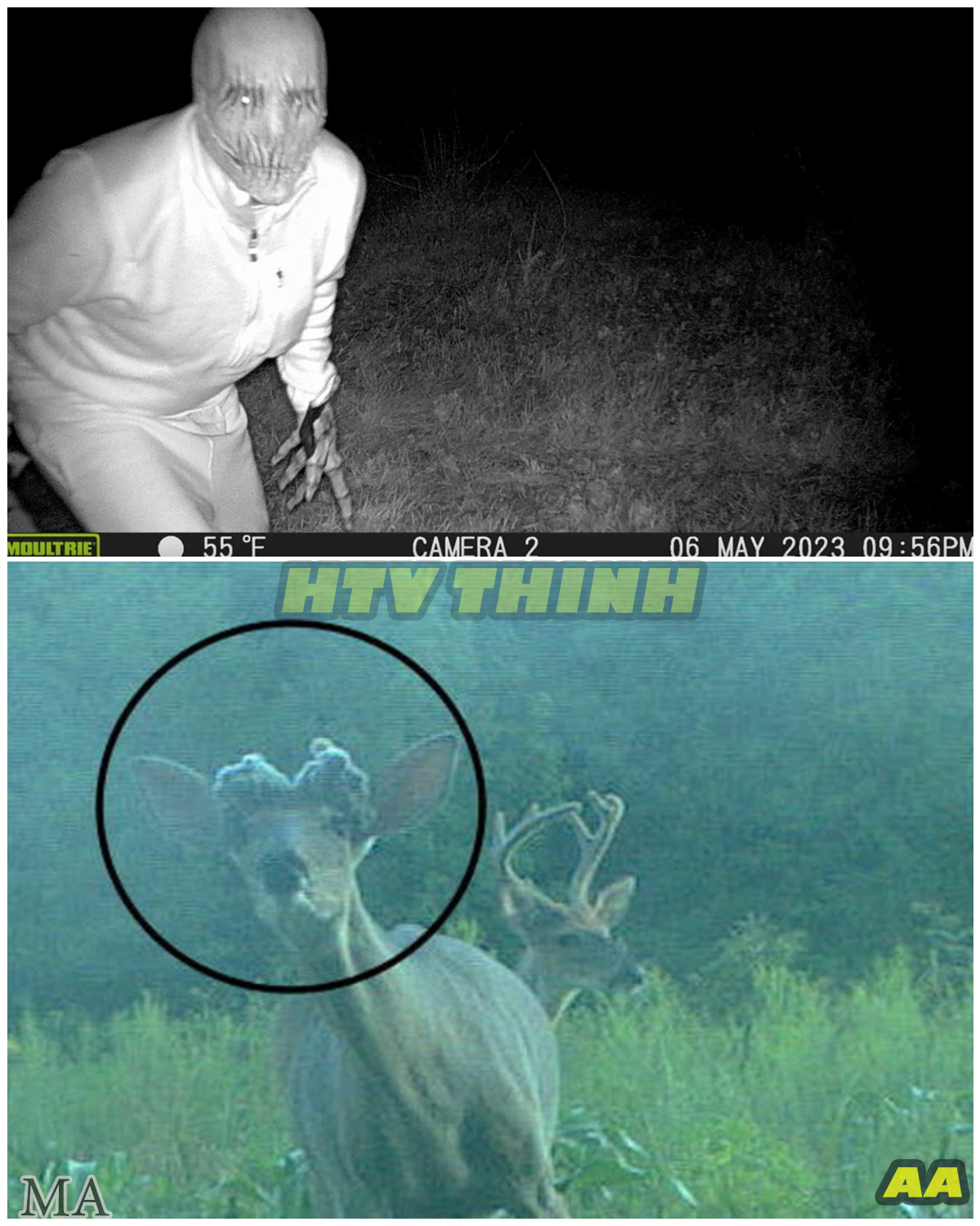  "‘YOU WON’T BELIEVE YOUR EYES!’ DISTURBING CREATURE CAUGHT On Trail Camera — The SHOCKING Footage That Left Experts Speechless " - News
