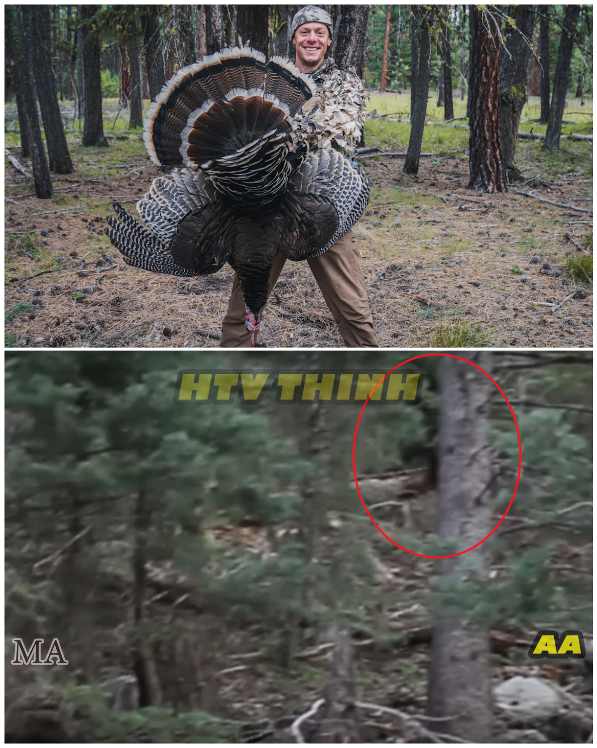  BIGFOOT FALLS FROM TREE IN WASHINGTON STATE — Shocking New Footage Shows the Creature Like NEVER Before, and Experts Are LOSING IT  - News