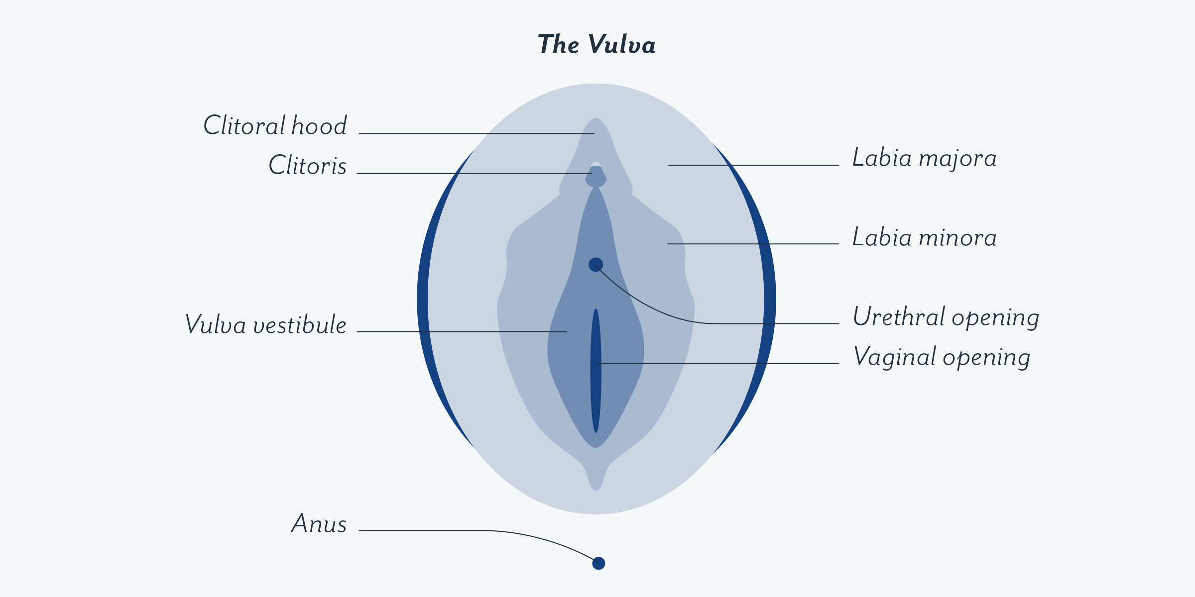 A WOMAN’S LEGS CAN TELL YOU WHAT HER VAGINA IS LIKE… Read more (ypa)