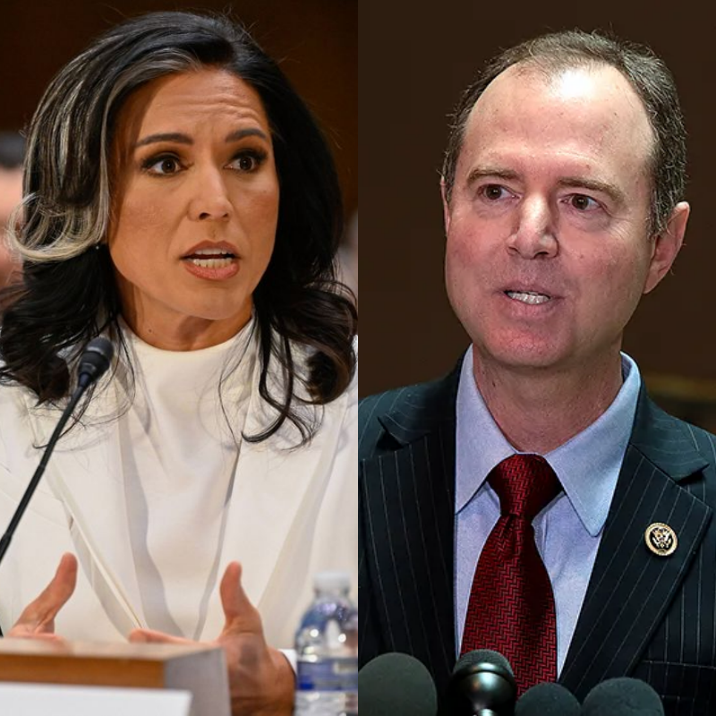 New!!! Tulsi Gabbard Exposes Adam Schiff