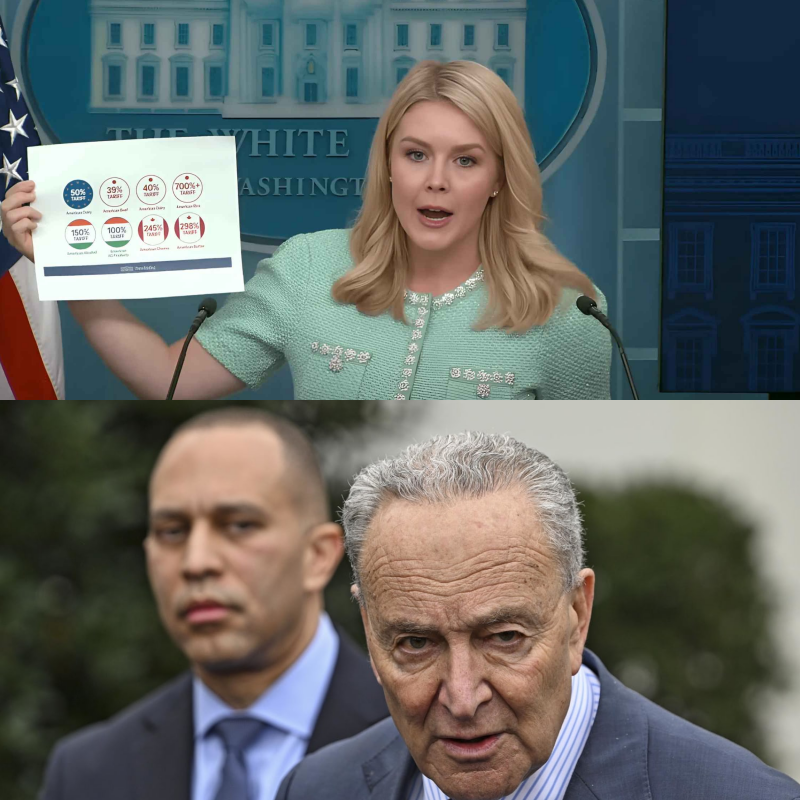 Karoline Leavitt Exposes Democrats’ SHOCKING ‘Secret Medicaid Laundering Scam’ LIVE!