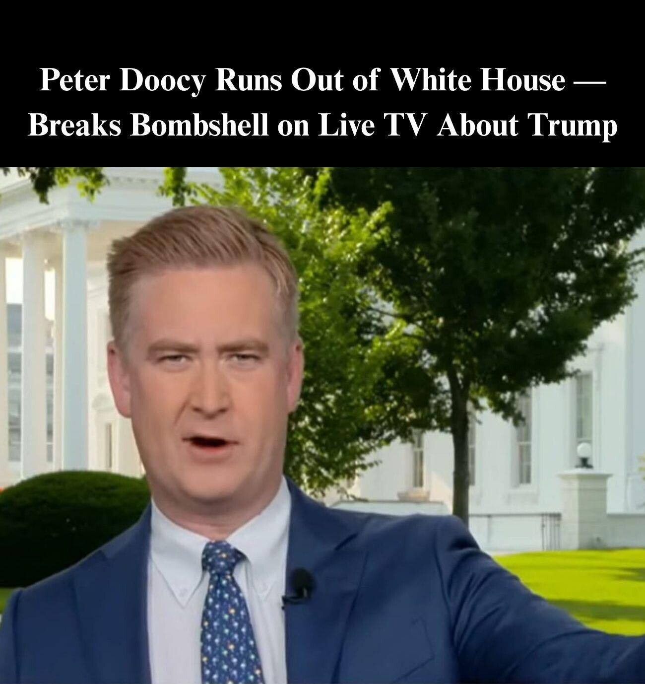 Peter Doocy Provides